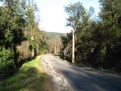 route du col d'Uglas, Cevennes